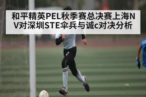 和平精英PEL秋季赛总决赛上海NV对深圳STE伞兵与诚c对决分析