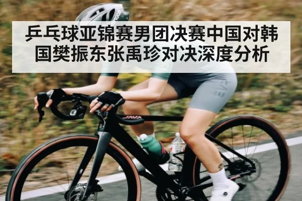 乒乓球亚锦赛男团决赛中国对韩国樊振东张禹珍对决深度分析